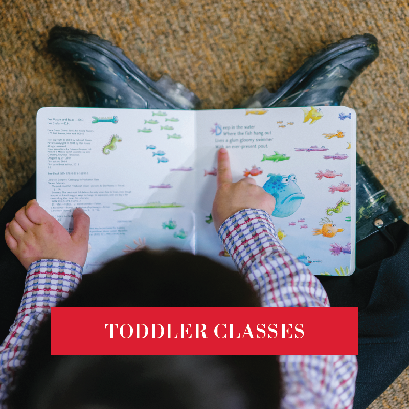 Toddler classes