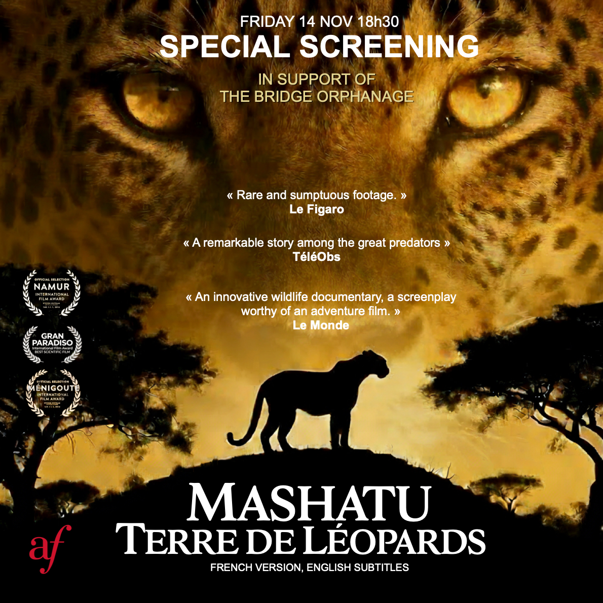 🎬 Special screening: MASHATU, LAND OF LEOPARDS