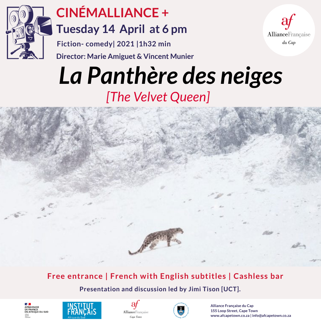 🎬 CinémAlliance+ La Panthère des neiges